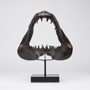 Large Bronze Mako Shark Jaw