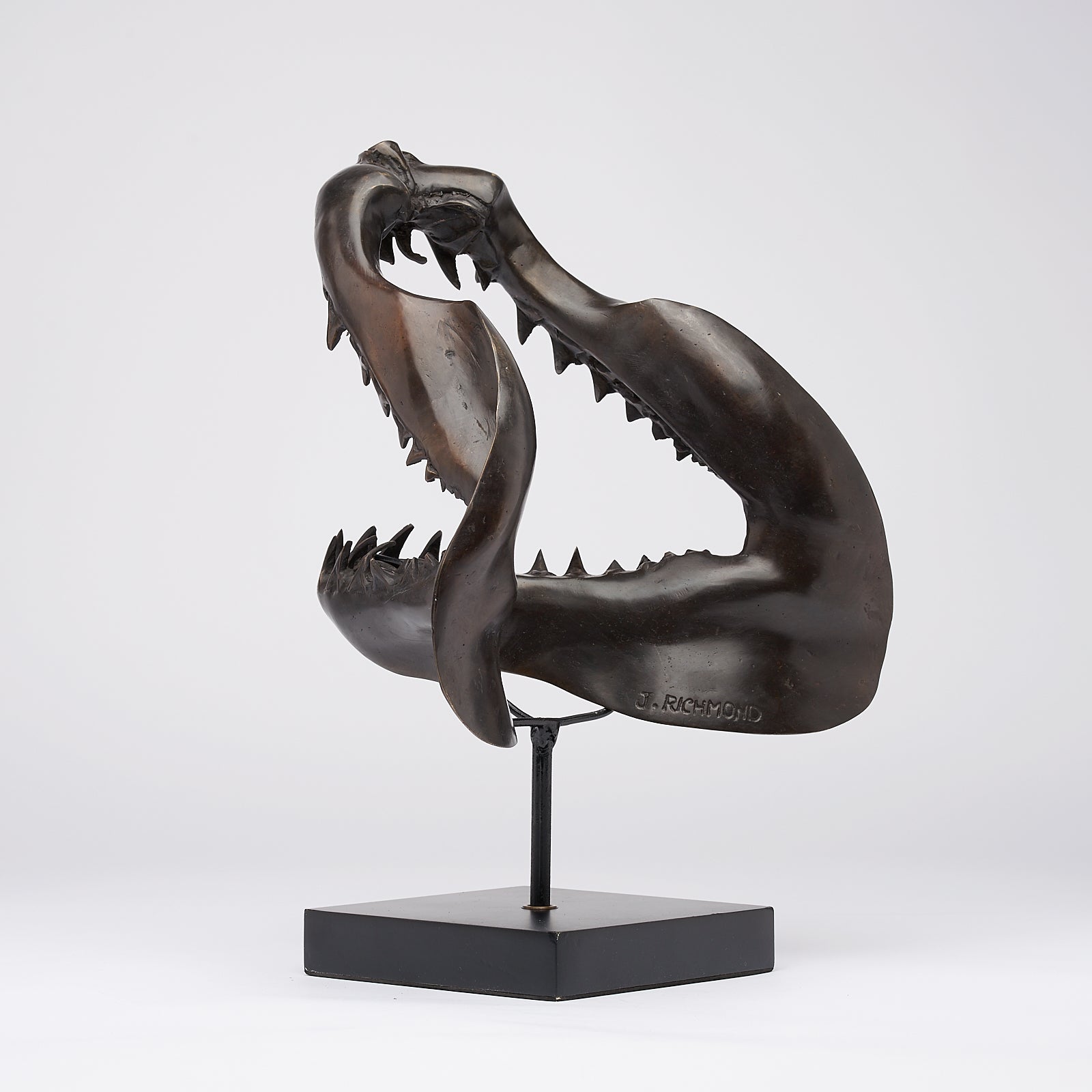 Large Bronze Mako Shark Jaw