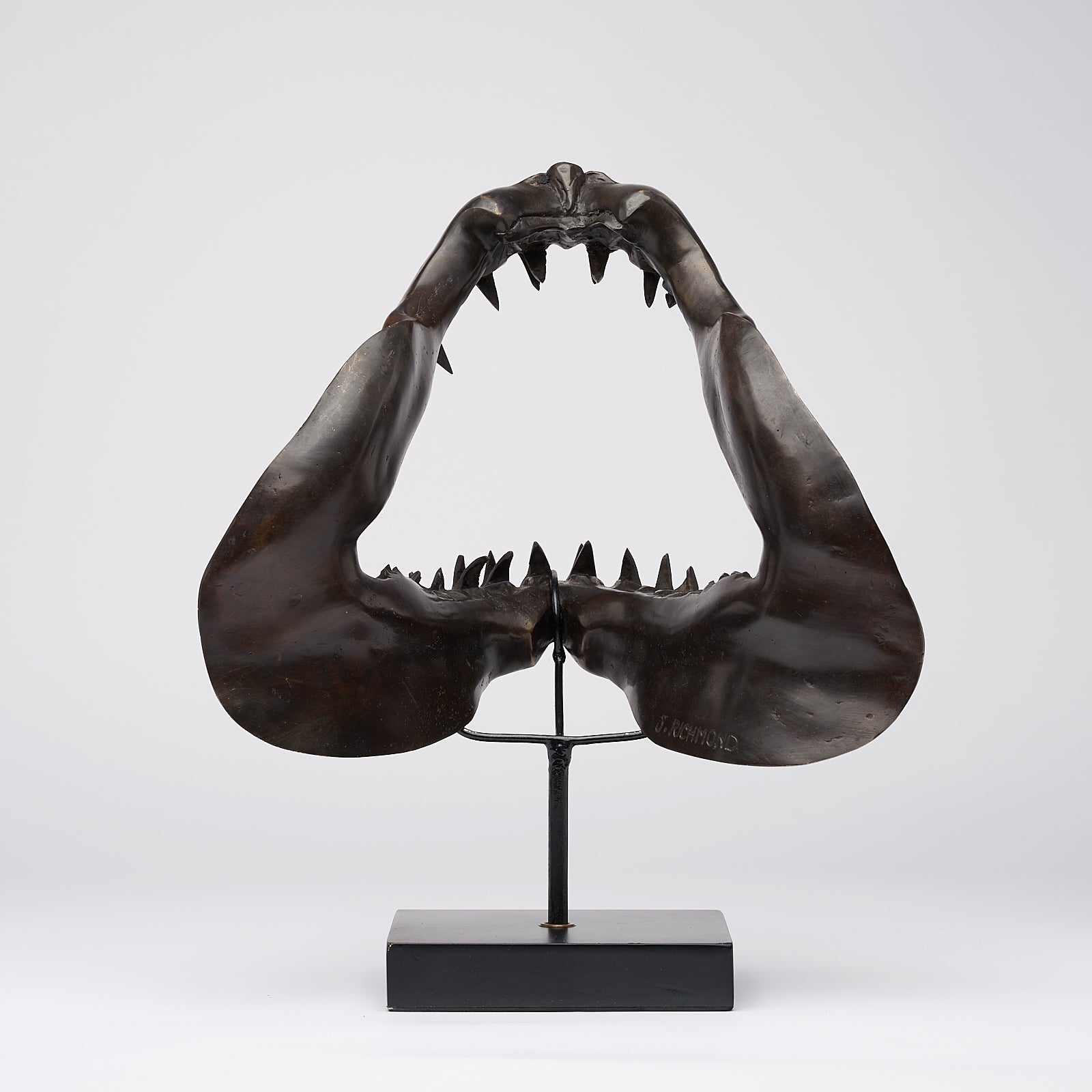 Large Bronze Mako Shark Jaw