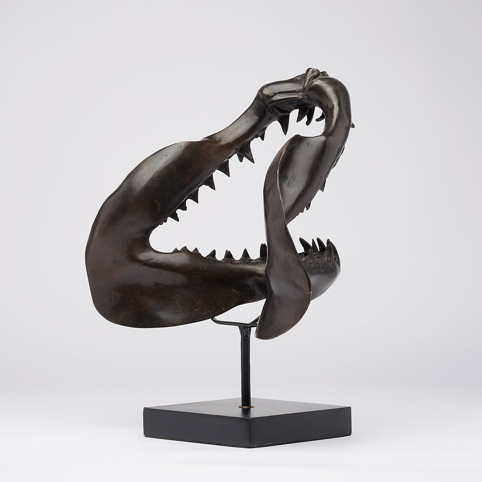 Large Bronze Mako Shark Jaw