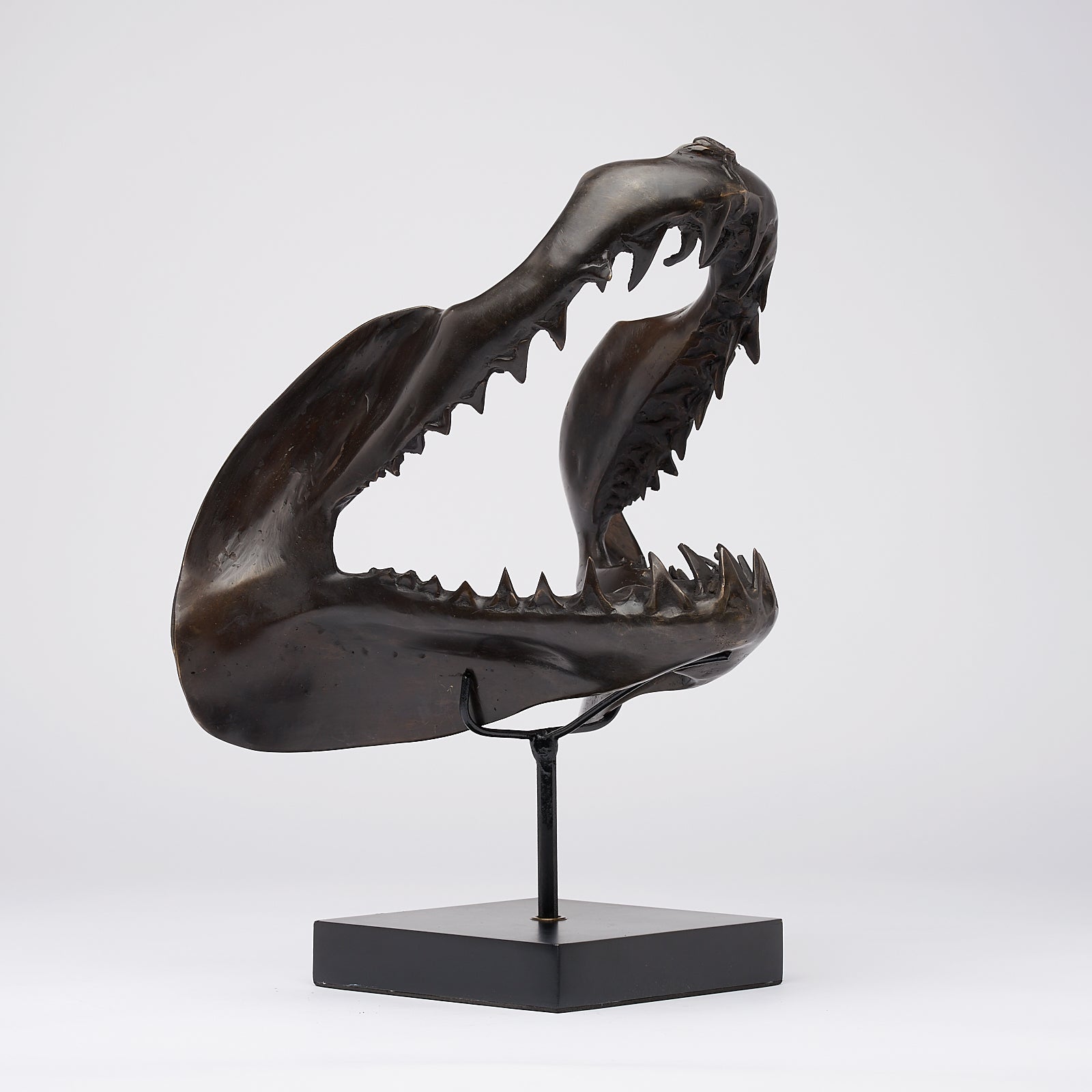 Large Bronze Mako Shark Jaw