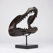 Large Bronze Mako Shark Jaw