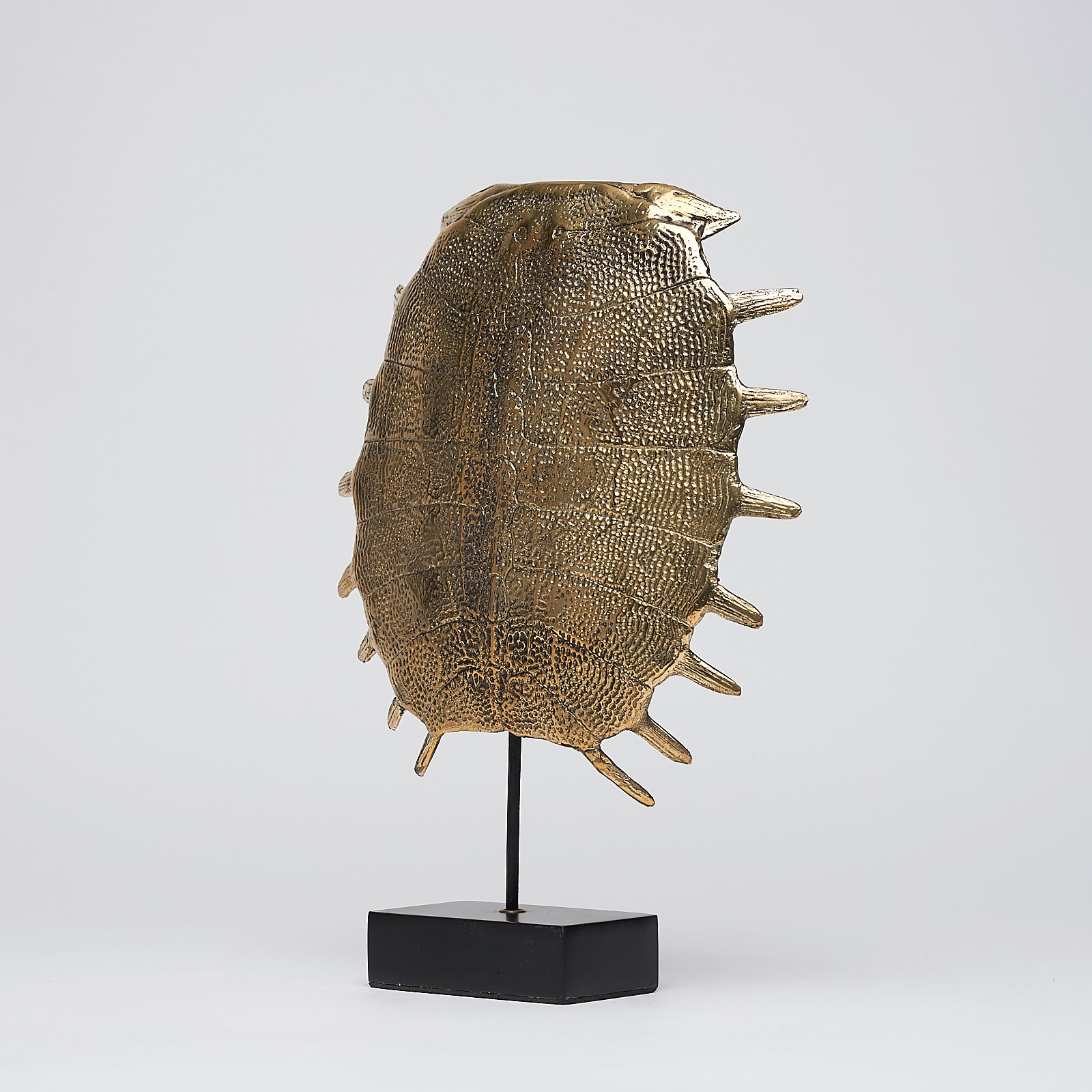 Small Turtle Shell in Polished Bronze