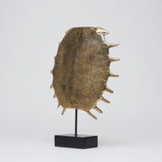 Small Turtle Shell in Polished Bronze