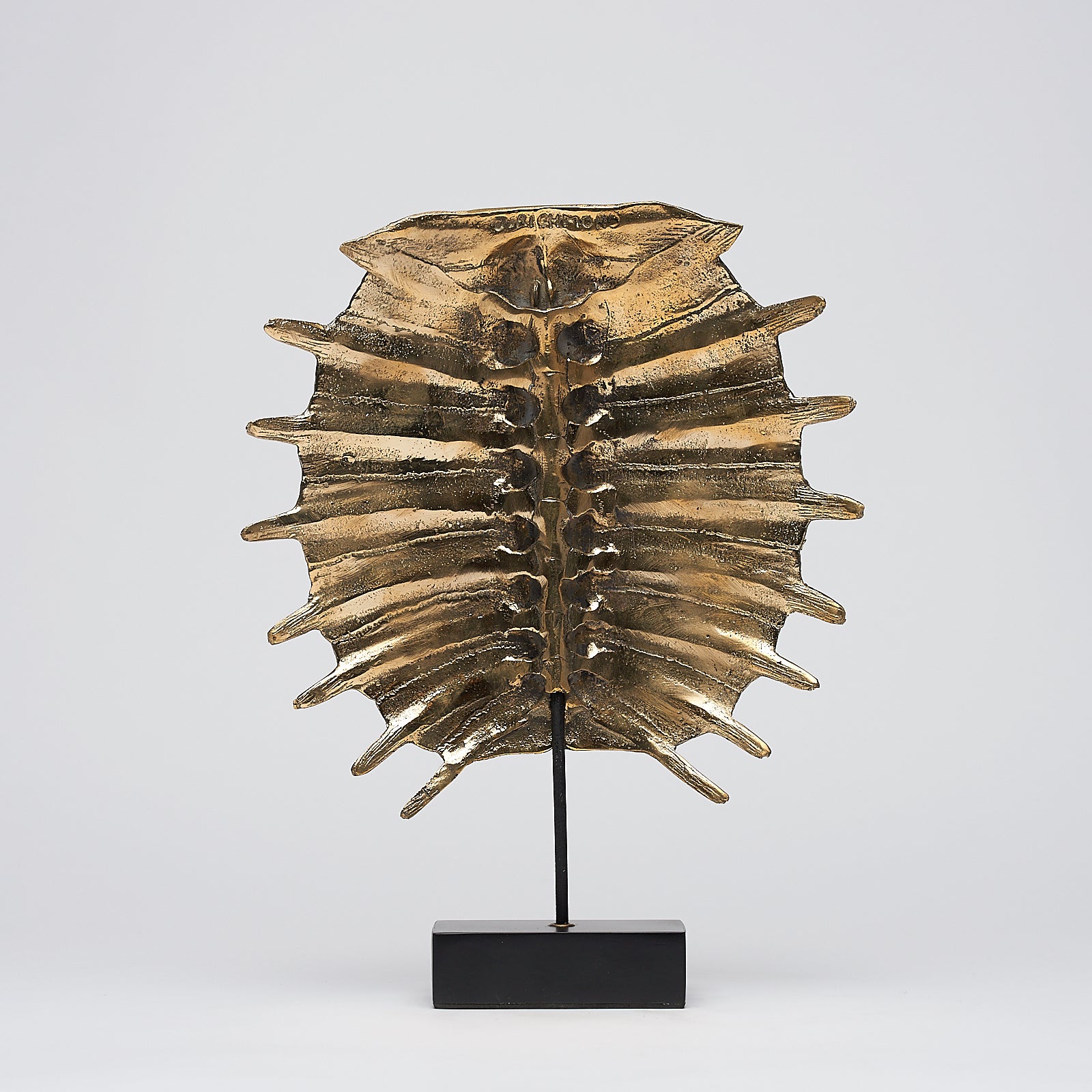 Small Turtle Shell in Polished Bronze