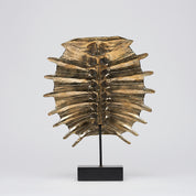 Small Turtle Shell in Polished Bronze