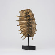 Small Turtle Shell in Polished Bronze