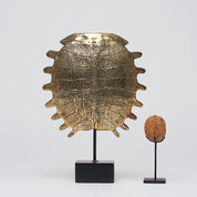 Small Turtle Shell in Polished Bronze