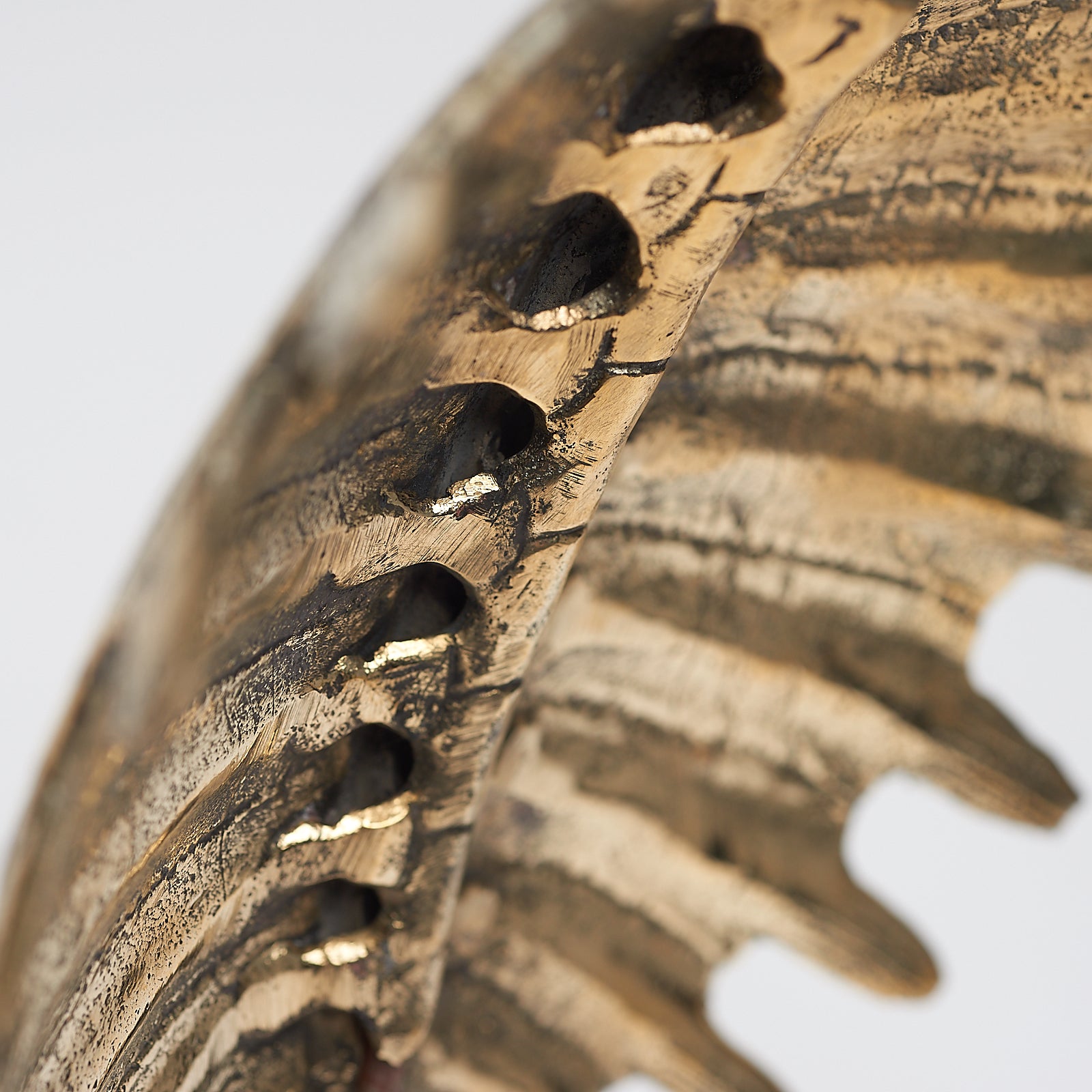 Small Turtle Shell in Polished Bronze