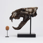 Bronze Sumatran Tiger Skull