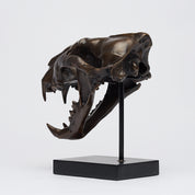 Bronze Sumatran Tiger Skull