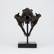 Bronze Sumatran Tiger Skull