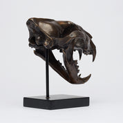 Bronze Sumatran Tiger Skull