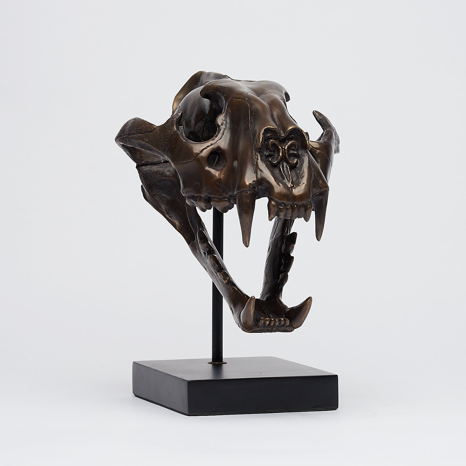 Bronze Sumatran Tiger Skull