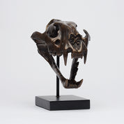 Bronze Sumatran Tiger Skull