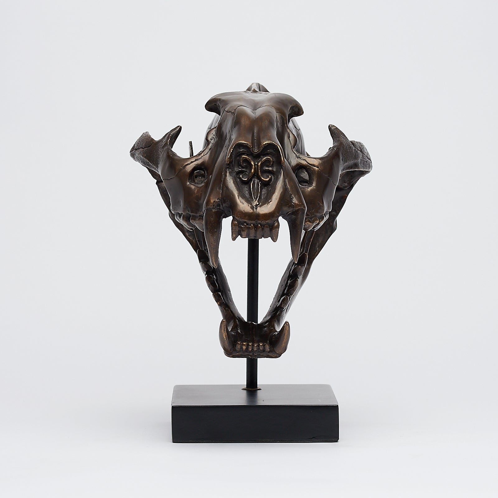 Bronze Sumatran Tiger Skull