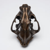 Bronze Sumatran Tiger Skull