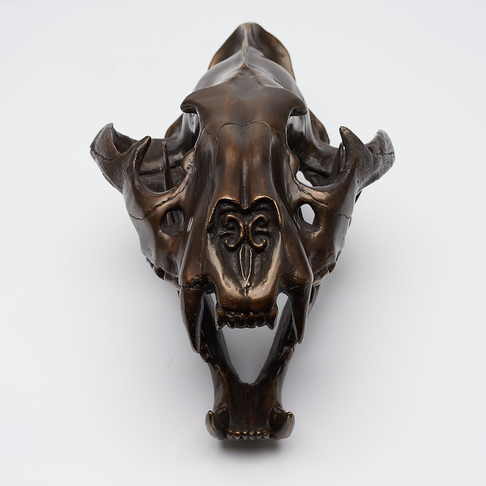 Bronze Sumatran Tiger Skull