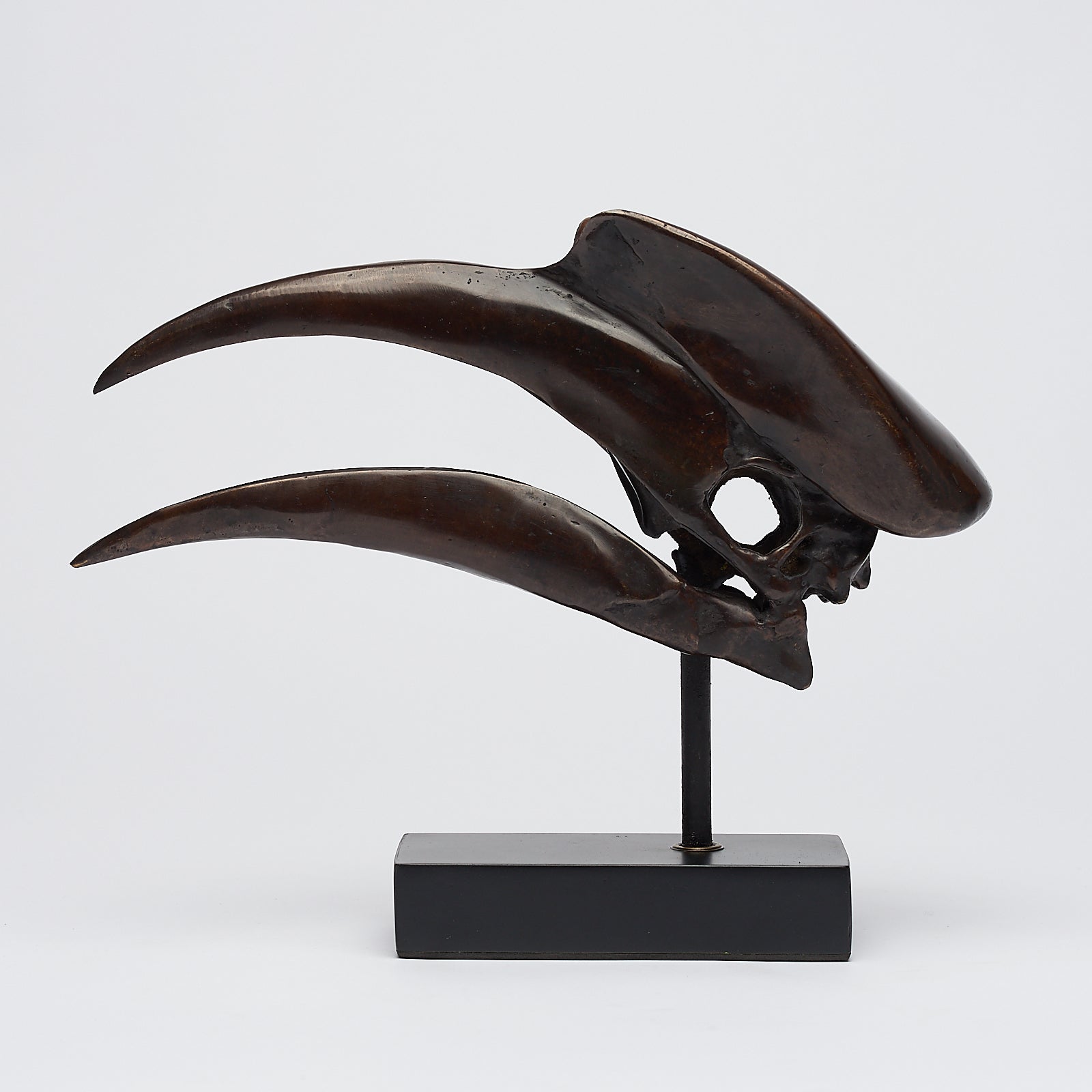 Bronze Great Hornbill