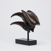 Bronze Great Hornbill