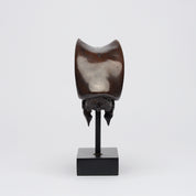 Bronze Great Hornbill