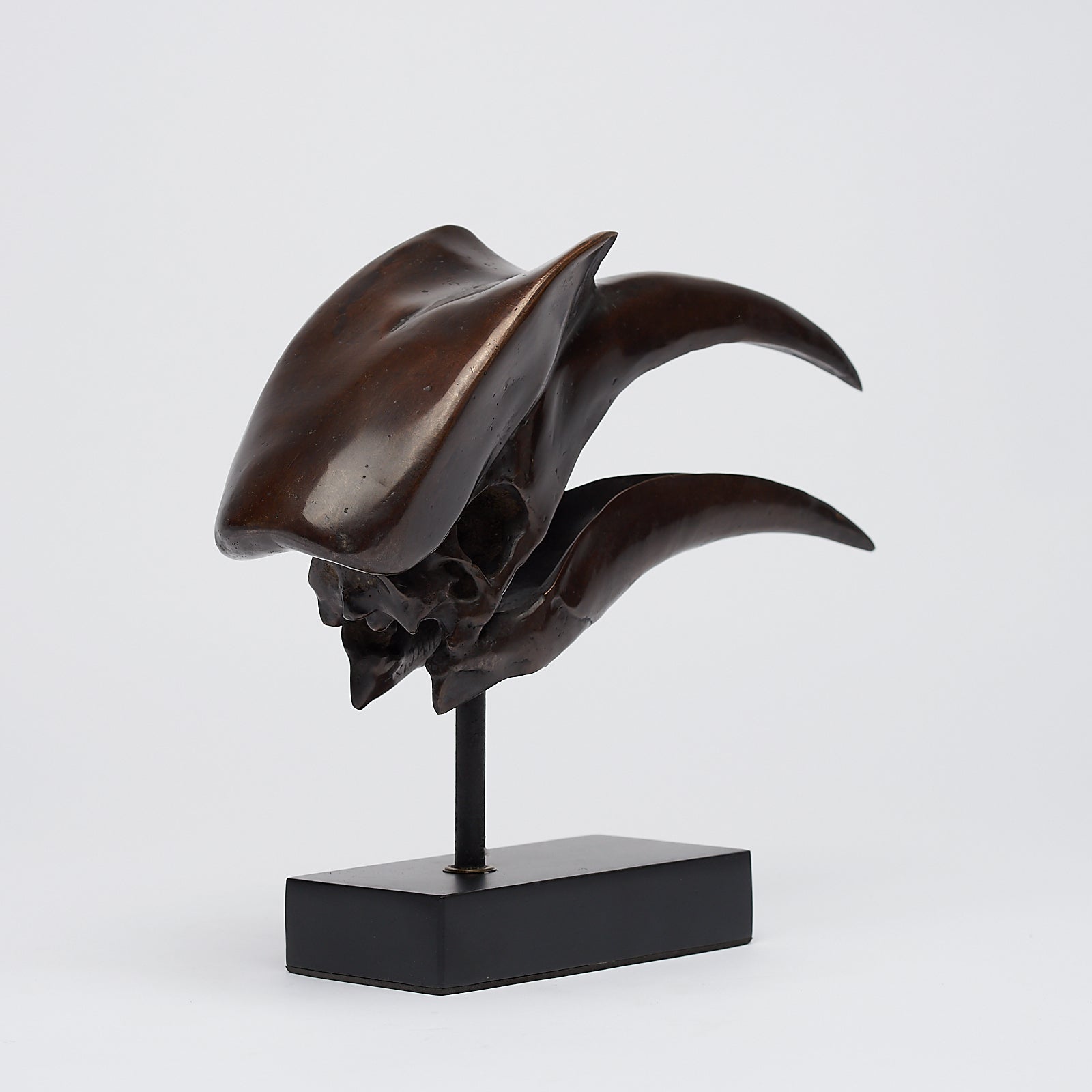 Bronze Great Hornbill