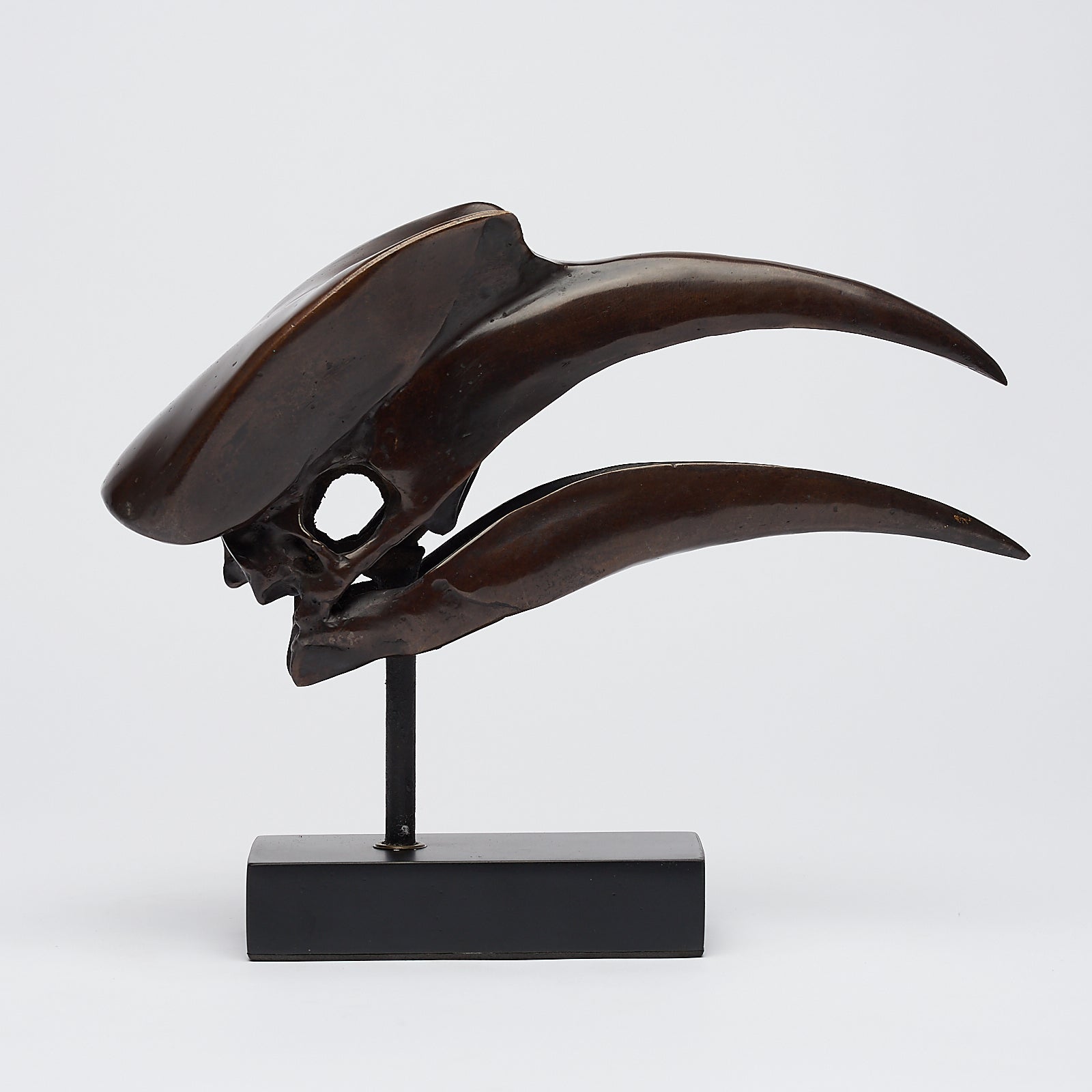 Bronze Great Hornbill