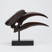 Bronze Great Hornbill