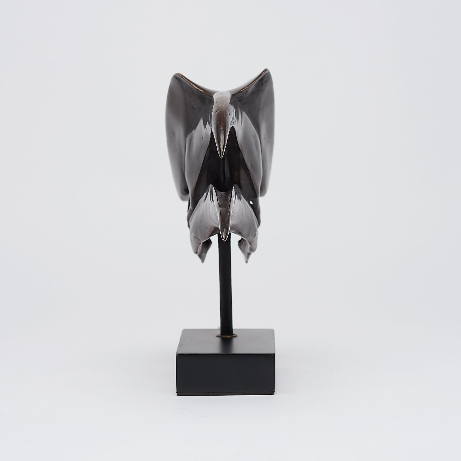 Bronze Great Hornbill