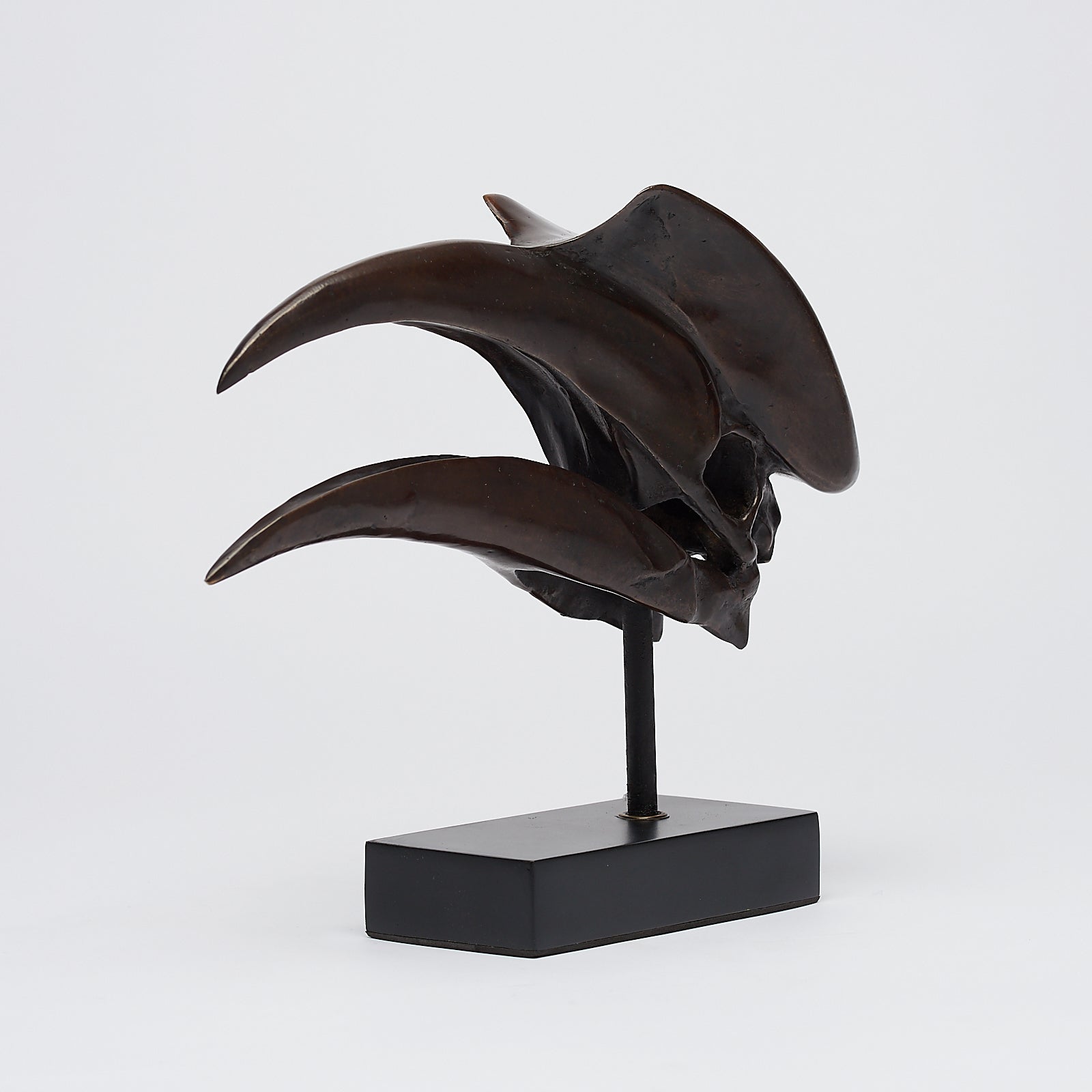 Bronze Great Hornbill