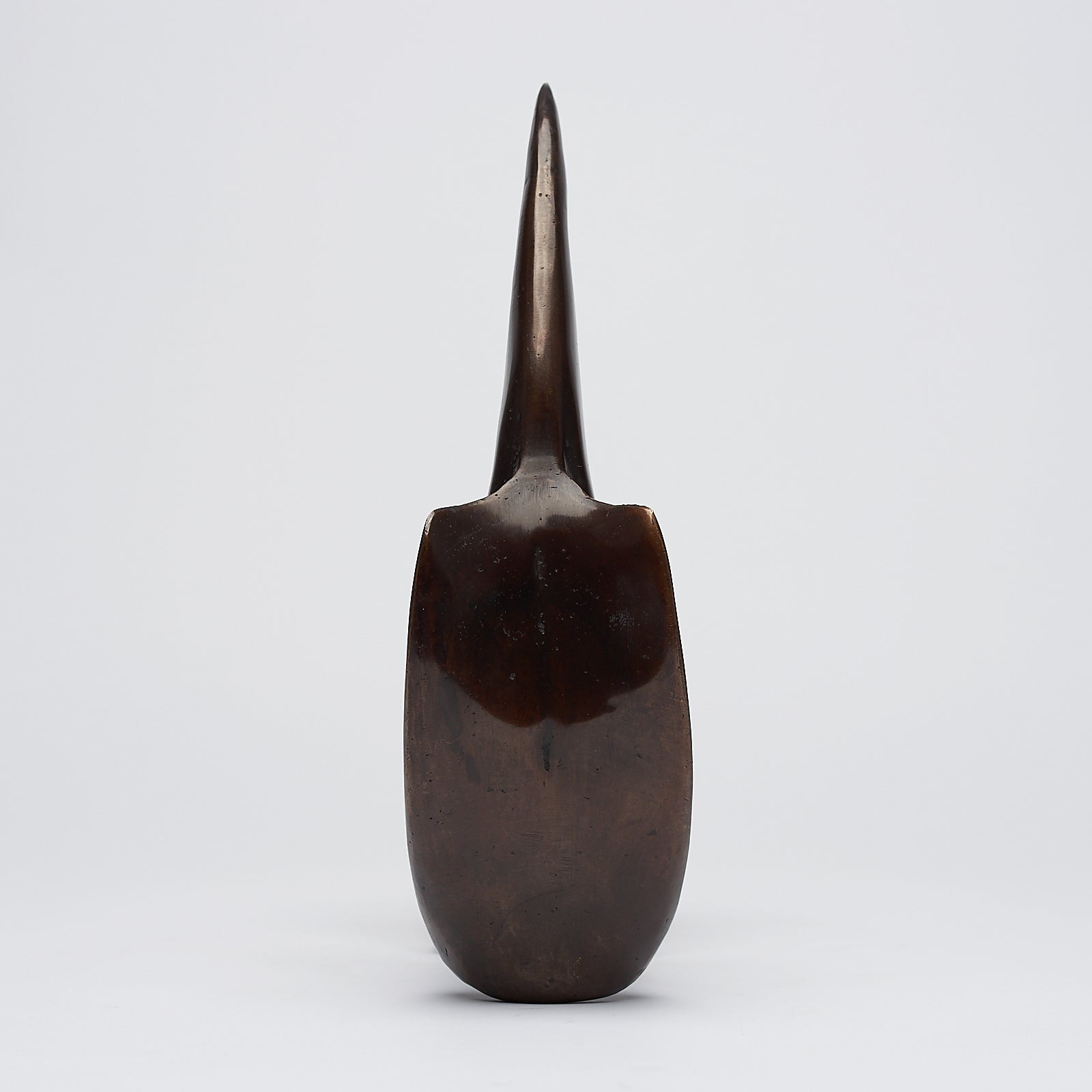 Bronze Great Hornbill