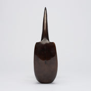 Bronze Great Hornbill