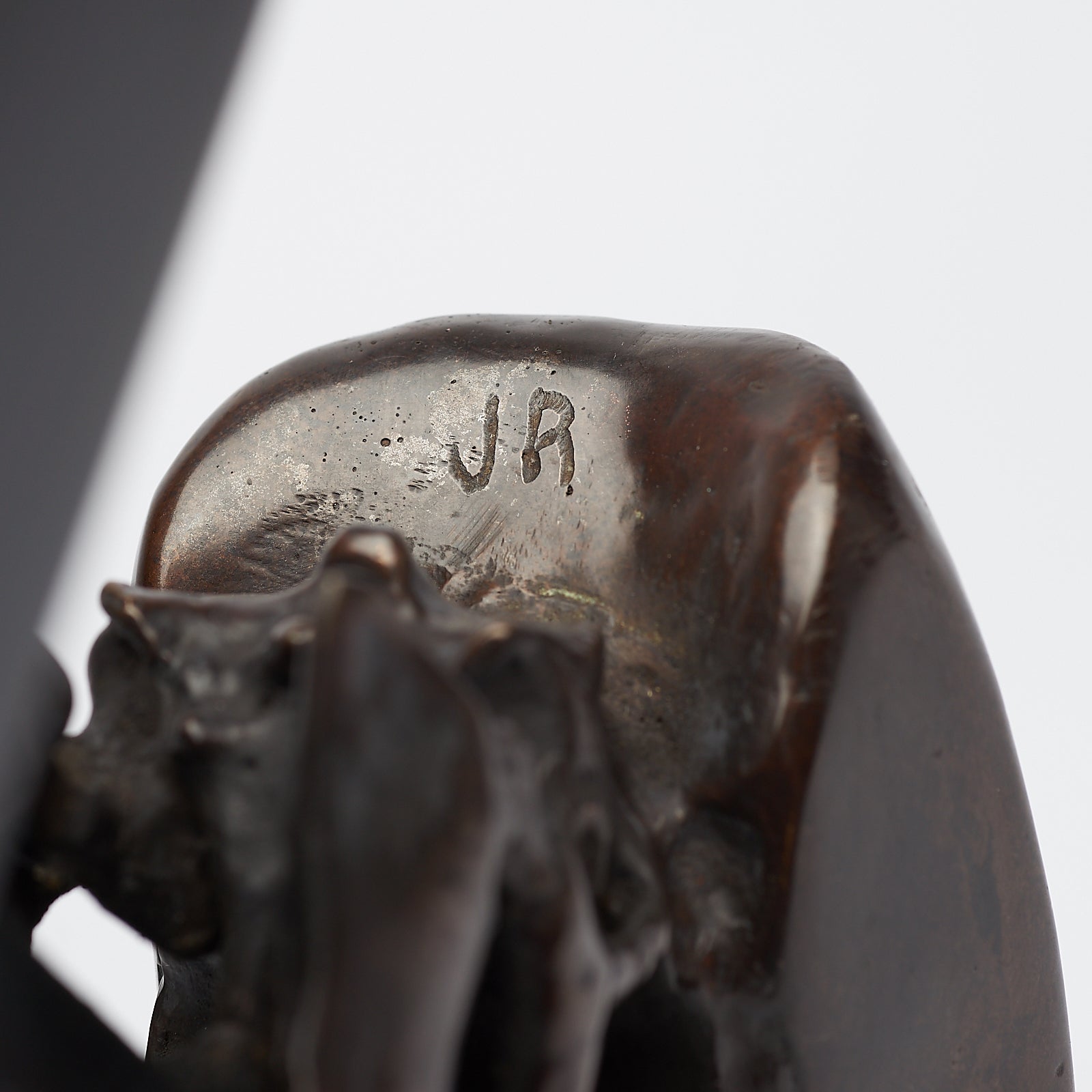 Bronze Great Hornbill