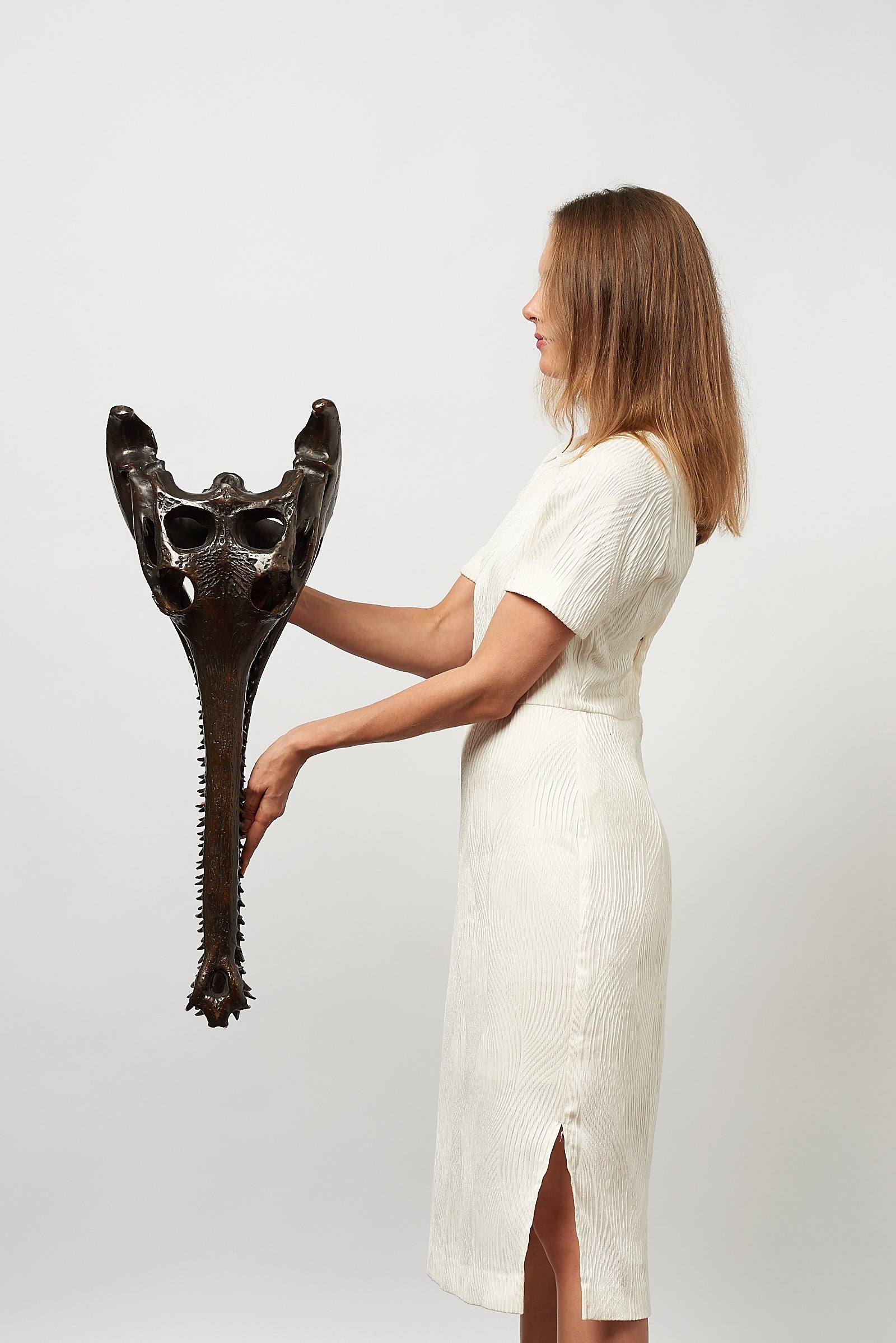 Extra Large Bronze Gharial Skull