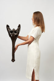 Extra Large Bronze Gharial Skull