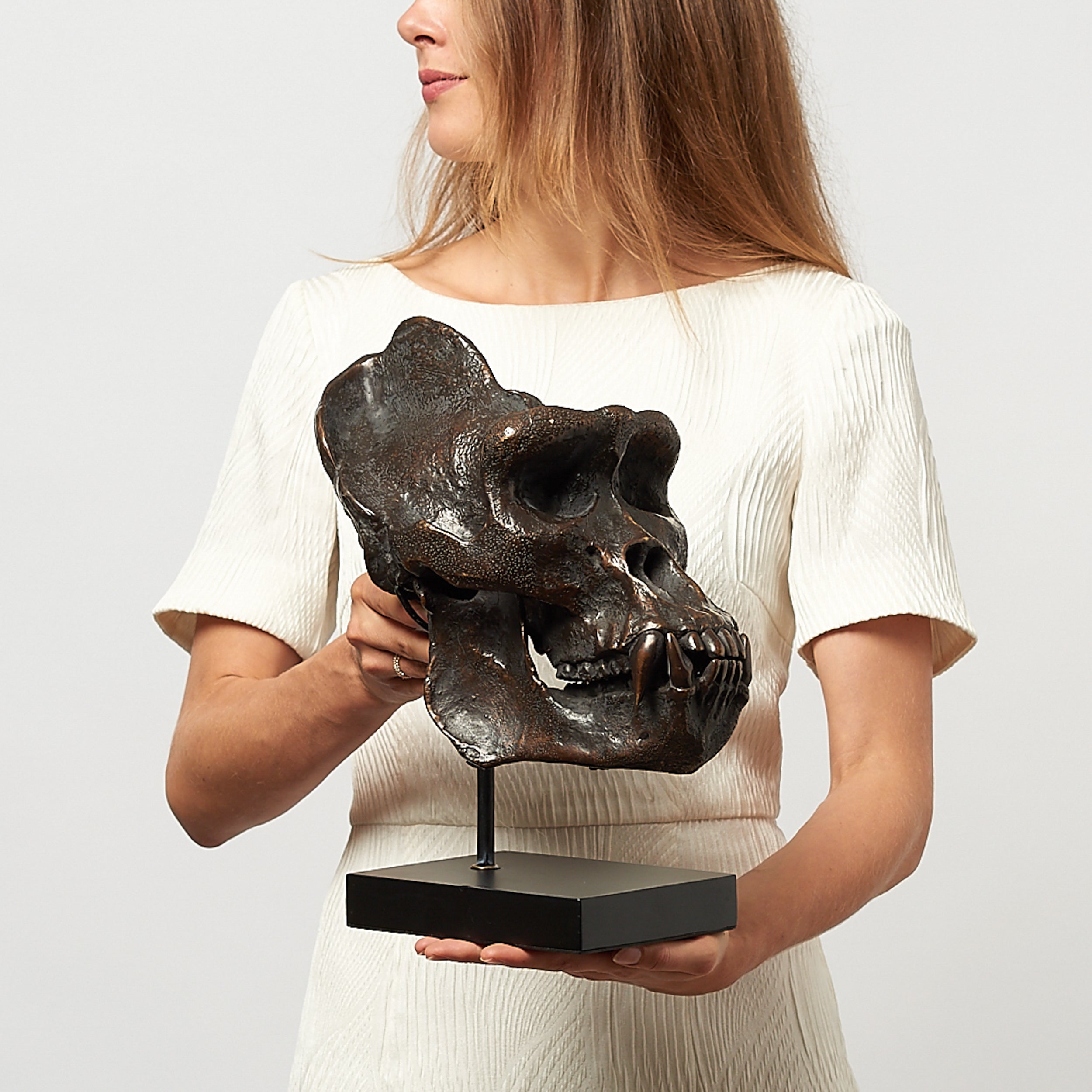 Bronze Western Lowland Gorilla Skull