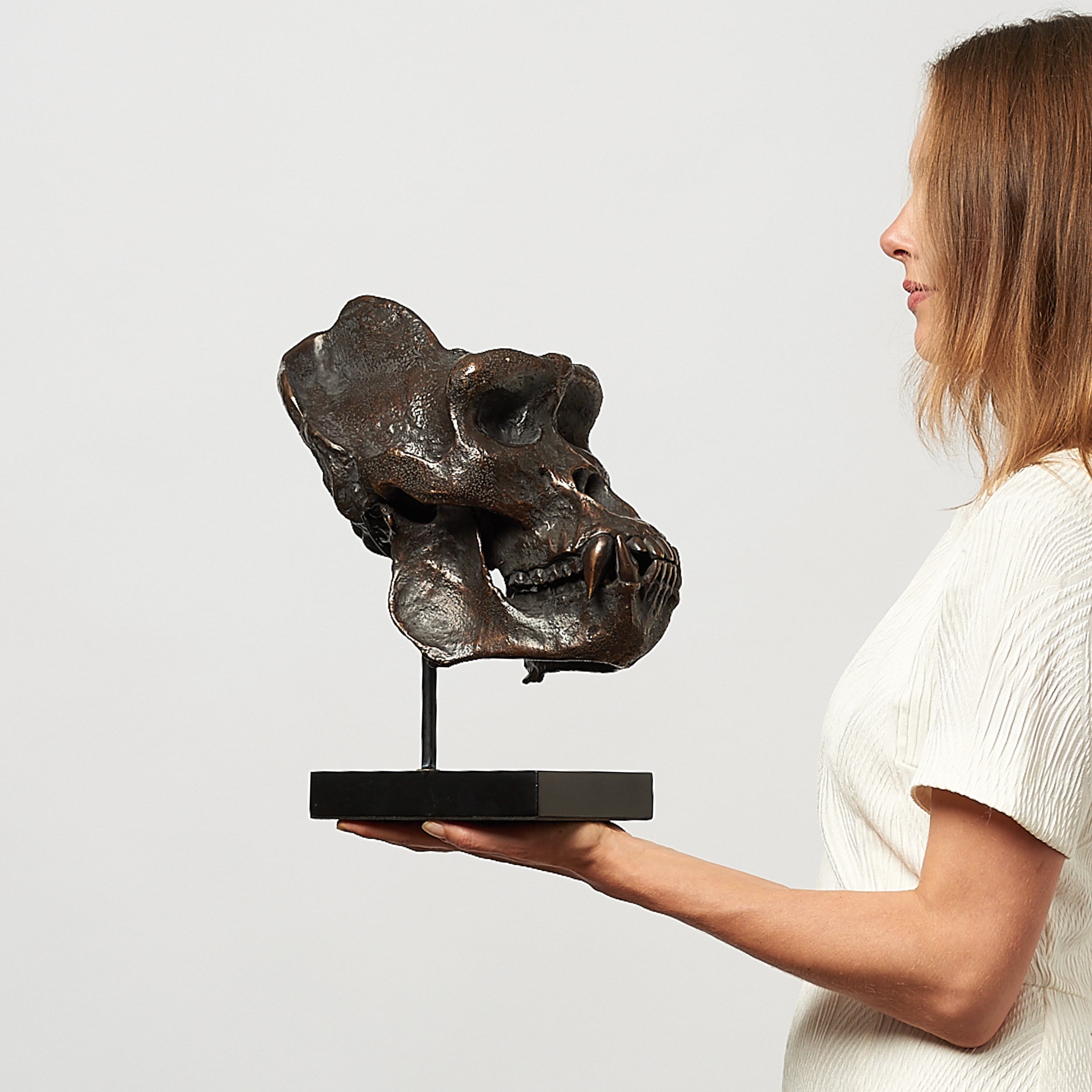 Bronze Western Lowland Gorilla Skull