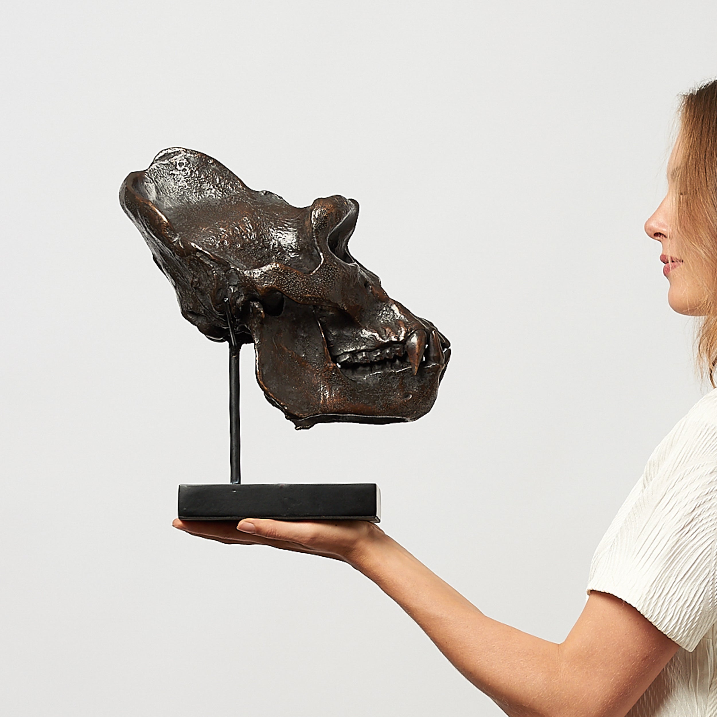 Bronze Western Lowland Gorilla Skull
