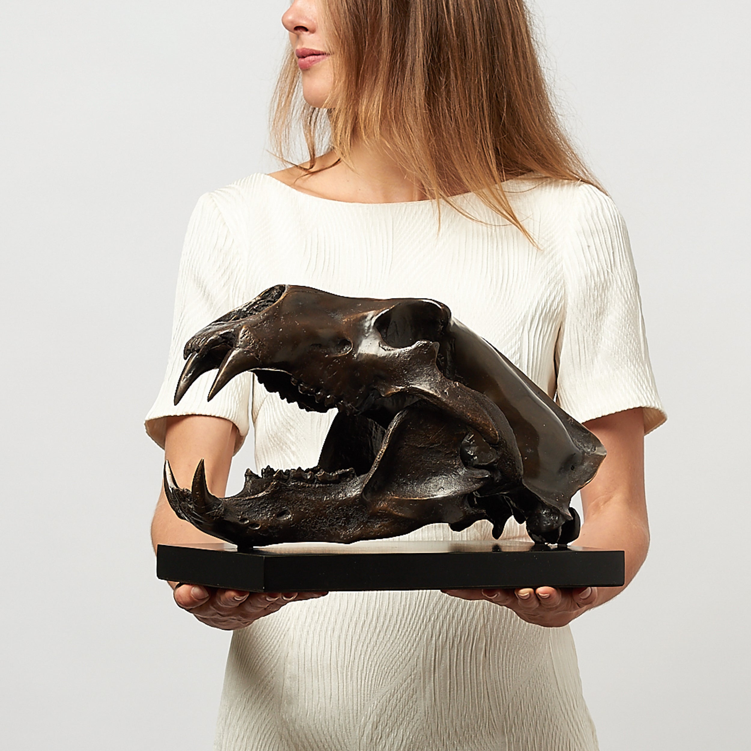 Bronze Polar Bear Skull