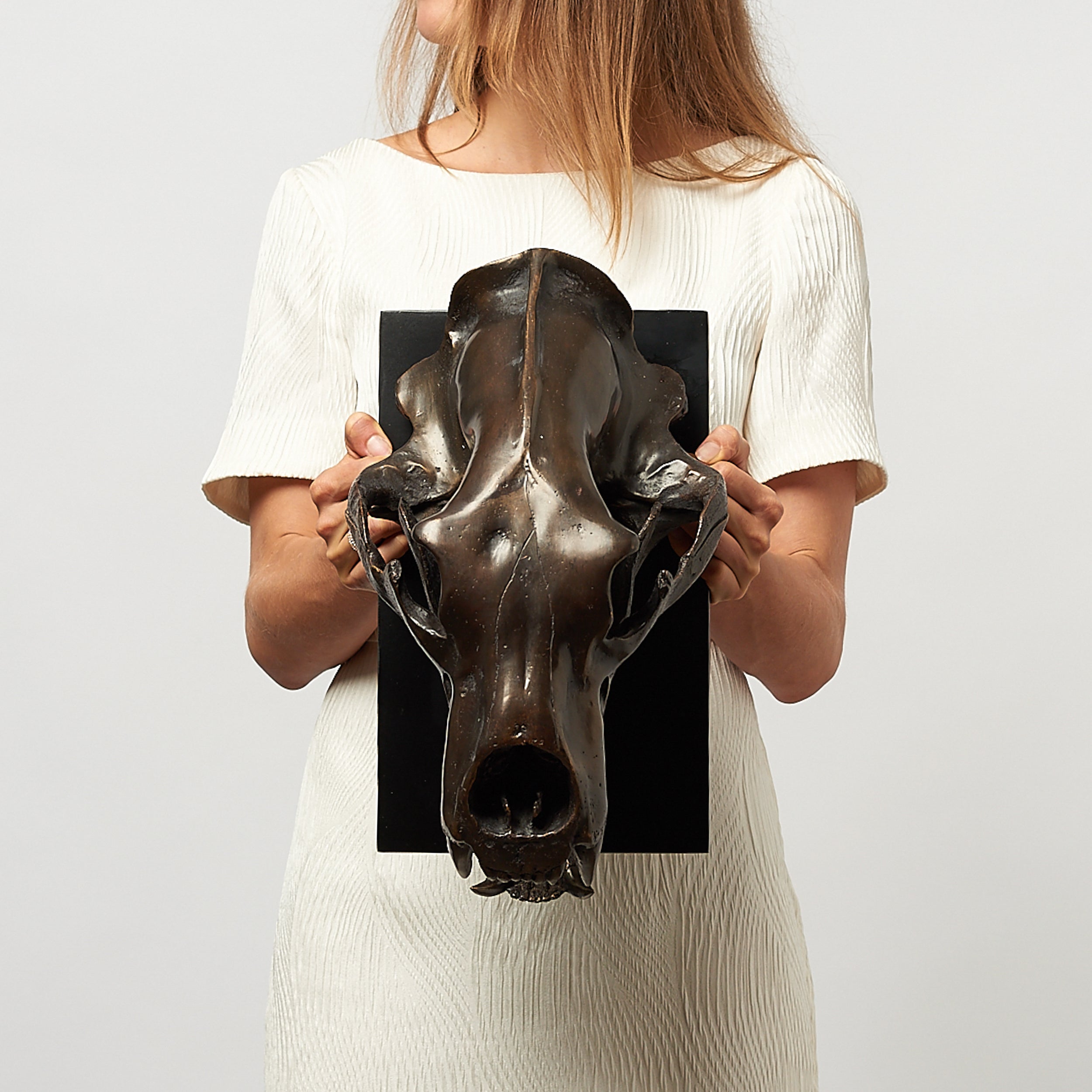 Bronze Polar Bear Skull