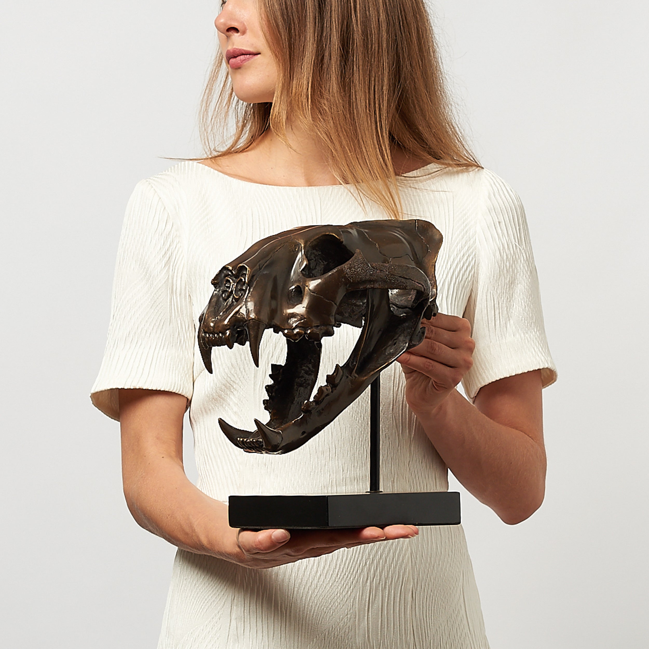 Bronze Sumatran Tiger Skull