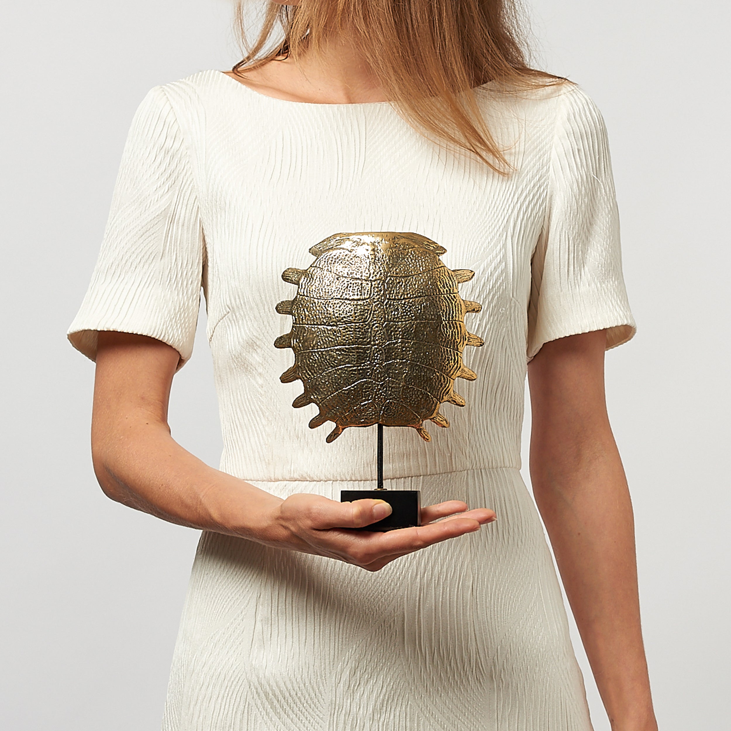 Small Turtle Shell in Polished Bronze