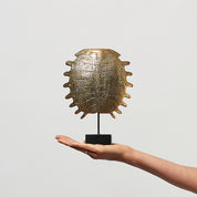 Small Turtle Shell in Polished Bronze