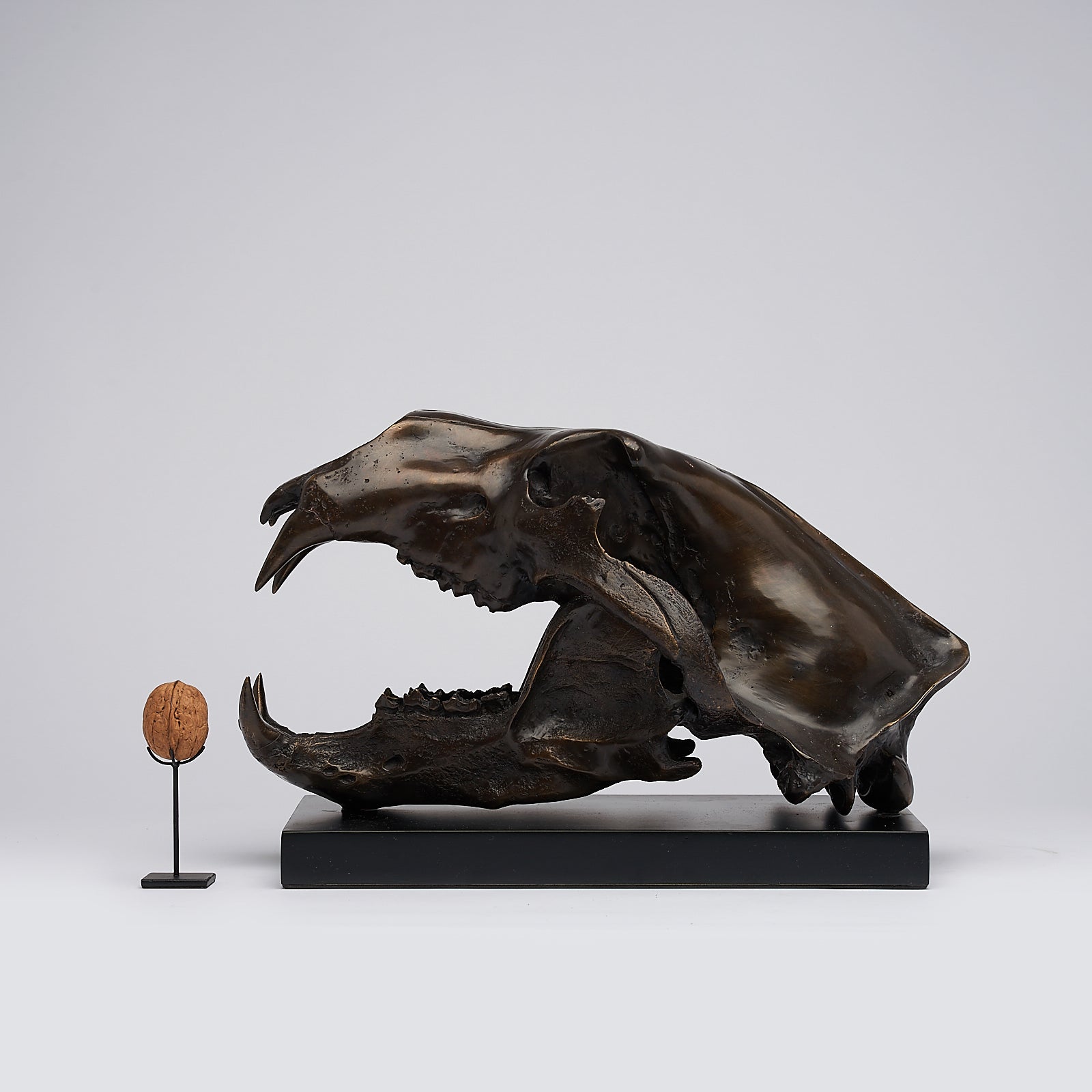 Bronze Polar Bear Skull