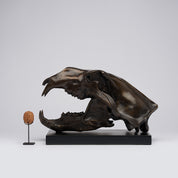 Bronze Polar Bear Skull