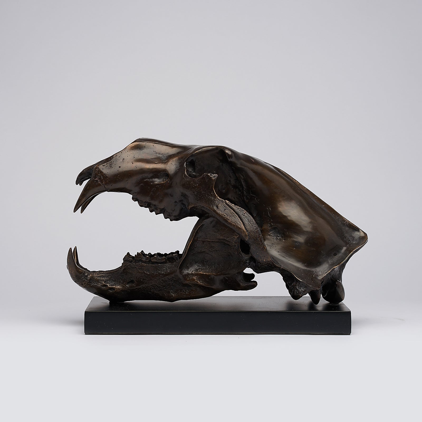 Bronze Polar Bear Skull