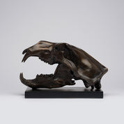 Bronze Polar Bear Skull