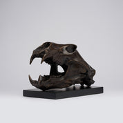 Bronze Polar Bear Skull