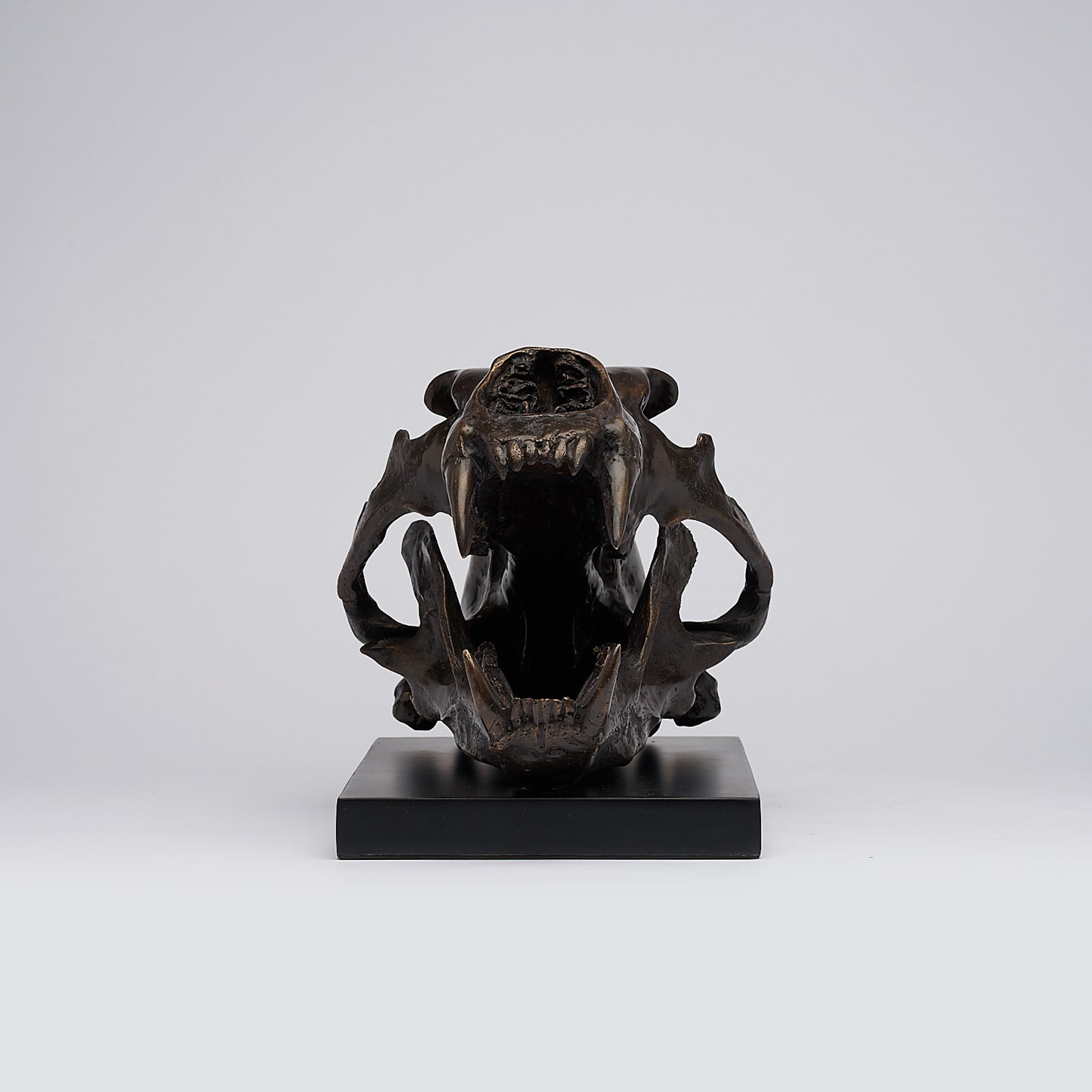 Bronze Polar Bear Skull