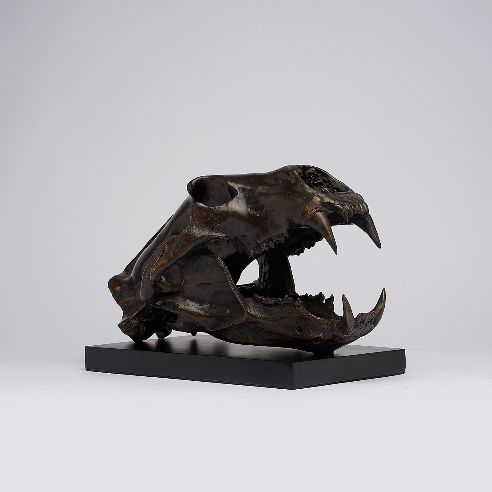 Bronze Polar Bear Skull